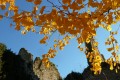 mariette _p_ automne_tl